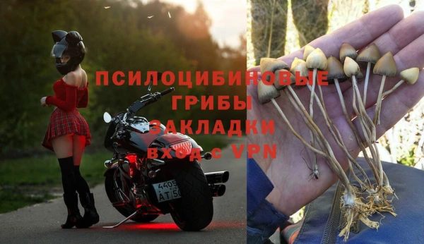 МДПВ Арсеньев