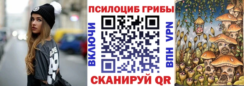 где можно купить Бабушкин Псилоцибиновые грибы Psilocybine cubensis